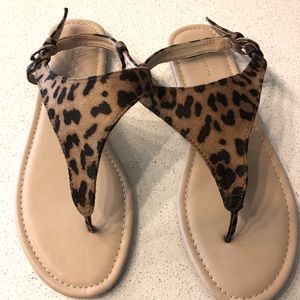 Ann Taylor Factory Sandals Faux Leopard